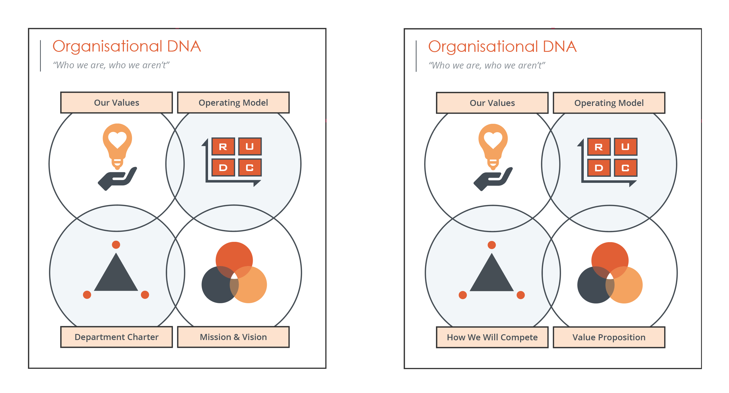 Organisational DNA